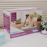 Vibrant Life XXL Dog Training Pads – 30 X 36 Inches, 40 Count, Highly Absorbent, Leak-Proof Backing