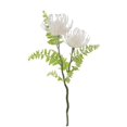 thumbnail image 2 of 1 Unids De Plástico Flor De Crisantemo Girasoles Artificiales 2-Cabeza Para El Budismo Día De Obon Festival Funeral Blanco Macarena Flor de crisantemo falso, 2 of 5