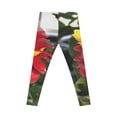 thumbnail image 3 of Women's Casual Leggings (AOP), 3 of 4