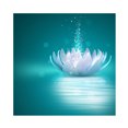 thumbnail image 1 of DIY 5D diamante pintura completo redondo flores planta hecho a mano cuadro decoración del hogar Likrtyny Arte deco, 1 of 9