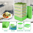thumbnail image 6 of 2X Bean Seed Germination Kit, Micro-Green Plant Growing Tray, Drain Four-Tier Stackable Sprout Kit, 6 of 8