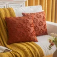thumbnail image 1 of Housses de Coussin Décoratives Citrouille Automne 18x18, Ensemble de 2 Housses de Coussin en Fourrure Douce Rouge Rouille pour la Récolte d'Automne, Housses de Coussin Moelleuses pour Canapé de Ferme, 1 of 11