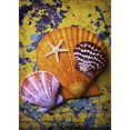 thumbnail image 1 of Diamond Painting (DE1548) DIY 5D Art Drawing Square Color Shell Kit Craft 40x50cm Hugtrwg Para estrenar, 1 of 1