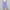 Purple, variant on Clearance SEMPAI Cropped Legging Casual Pants Mid 100%Polyester Womens Pants Winter Pants Straight Trendy Plus Size Pants for Women for Women Pants for Women 2024 Clearance