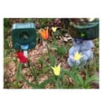 thumbnail image 4 of Ahuyentador de Ratas Bird-X Solar, 4 of 4