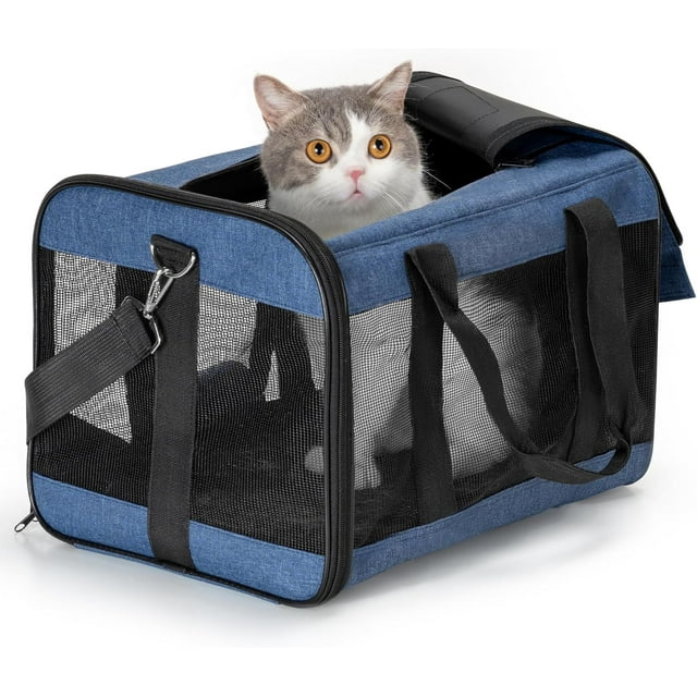 Transportbur för husdjur, mjuk transportbur för katter, små hundar, hopfällbar, hållbar, flygbolagsgodkänd, resevänlig (42*28*28 cm, blå)