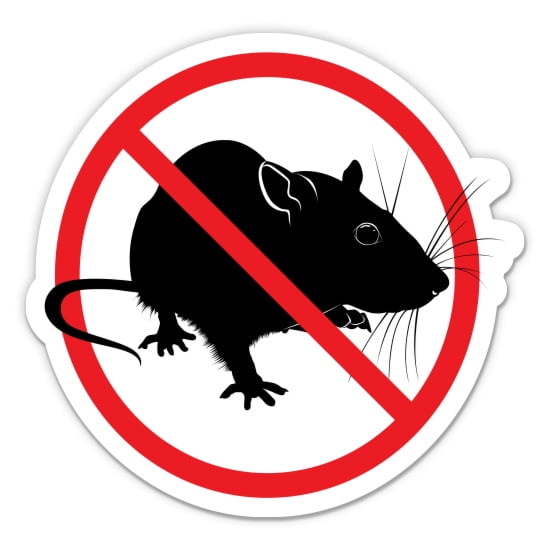No Rats Sign - 3" Vinyl Sticker - For Car Laptop Water Bottle Phone - Waterproof Decal
