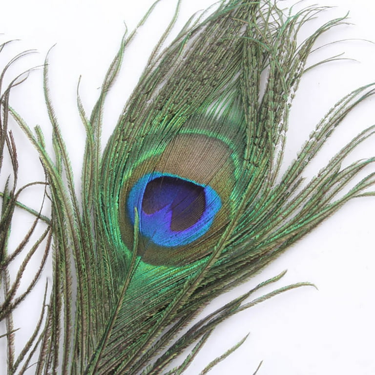 PERZOE Wish Peacock Feather Decorative Flower