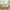 D, variant on Solid Color Flat Sheet, Soft Polyester Single Bed Sheet, Breathable Washable Wrinkle-Free Fabric, Fitted Corner Design for Mattress, Durable Easy Care Bedding for Home Hotel