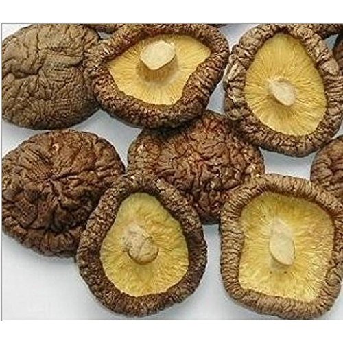 Dried Shiitake Mushrooms