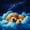 Blue 03, variant on Homewish Lovely Golden Retriever Twin Sheets,Cartoon Dog Bedding,White Clouds Decor,3 Pieces,1 Fitted Sheet and 1 Pillowcase