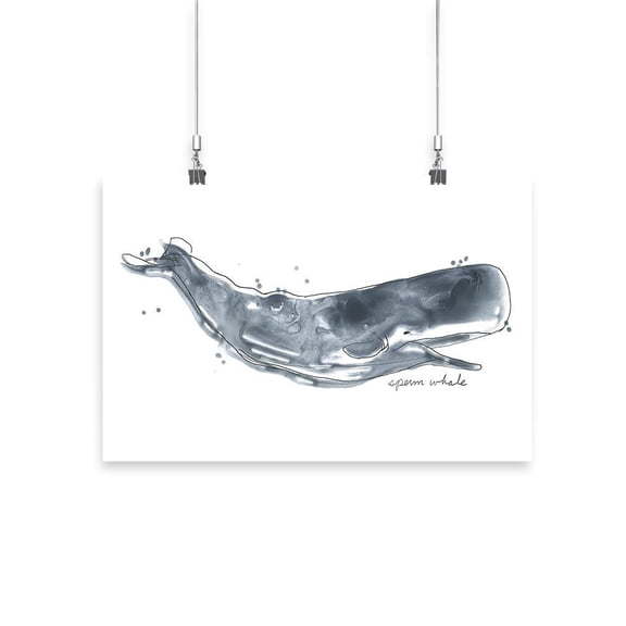 Cetacea Whale. Poster - June Erica Vess Designs,