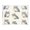 thumbnail image 2 of Acrylic Tray 15.7*11.8*1.9 Inch Transparent Tray Food Tray Tea Cup Tray Serving Trays Cosmetics Storage Kitchen Table Bathroom Sundry Storage Beautiful Blue Owl Pattern, 2 of 7