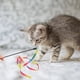 thumbnail image 1 of Varilla De Cuerda Para Gato, 3 Piezas, Cinta Flexible, Colorida, Ligera, Para Aliviar El Aburrimiento, Resistente A Las Mordeduras, Varita Para Gato Para Gatito En Interiores, 1 of 7
