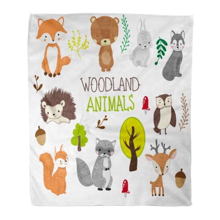 SIDONKU Throw Blanket Warm Cozy Print Flannel Fox Hand Drawn Woodland Clipart Bear Deer Comfortable Soft for Bed Sofa and Couch 50x60 Inches
