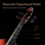 Extra Save More Eastar Kids & Adults 4/4 Violin Fiddle Set For Beginners with Hard Case, Rosin, Shoulder Rest, Bow, and Extra Strings (Imprinted Finger Guide on Fingerboard)