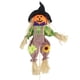 thumbnail image 1 of Scarecrow Decor Attractive Colorful with Bucket Halloween Adorable Scarecrow for Garden, 1 of 5