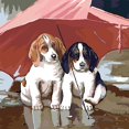 thumbnail image 1 of Pintura de bricolaje por números para adultos, , s de pintura por números, dibujo en para la decoración de de para hogar, Perros Macarena Cuadro de pintura al óleo, 1 of 6