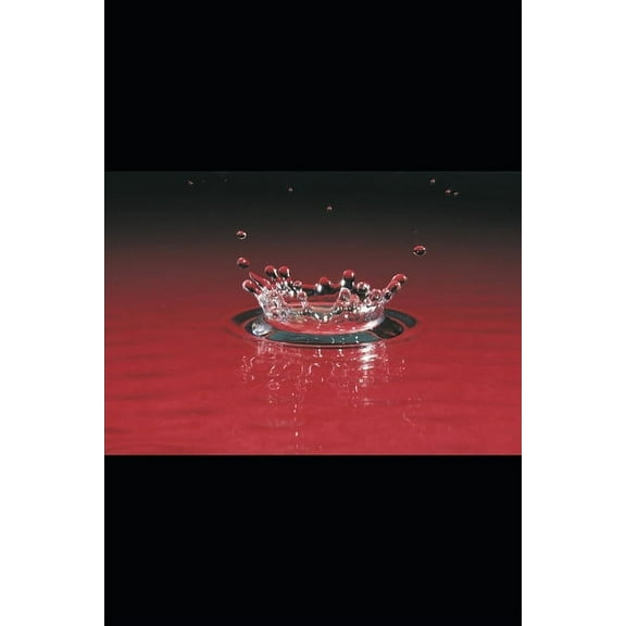 The Servant's Heart, (Paperback)