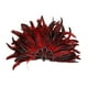 thumbnail image 3 of Diadema de plumas con lentejuelas y plumas multifuncional para carnaval y cosplay. rojo, 3 of 9