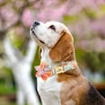 thumbnail image 7 of Didog Floral Nylon Personalised Dog Collar Custom Metal Buckle Adjustable Pet Necklace, 7 of 7