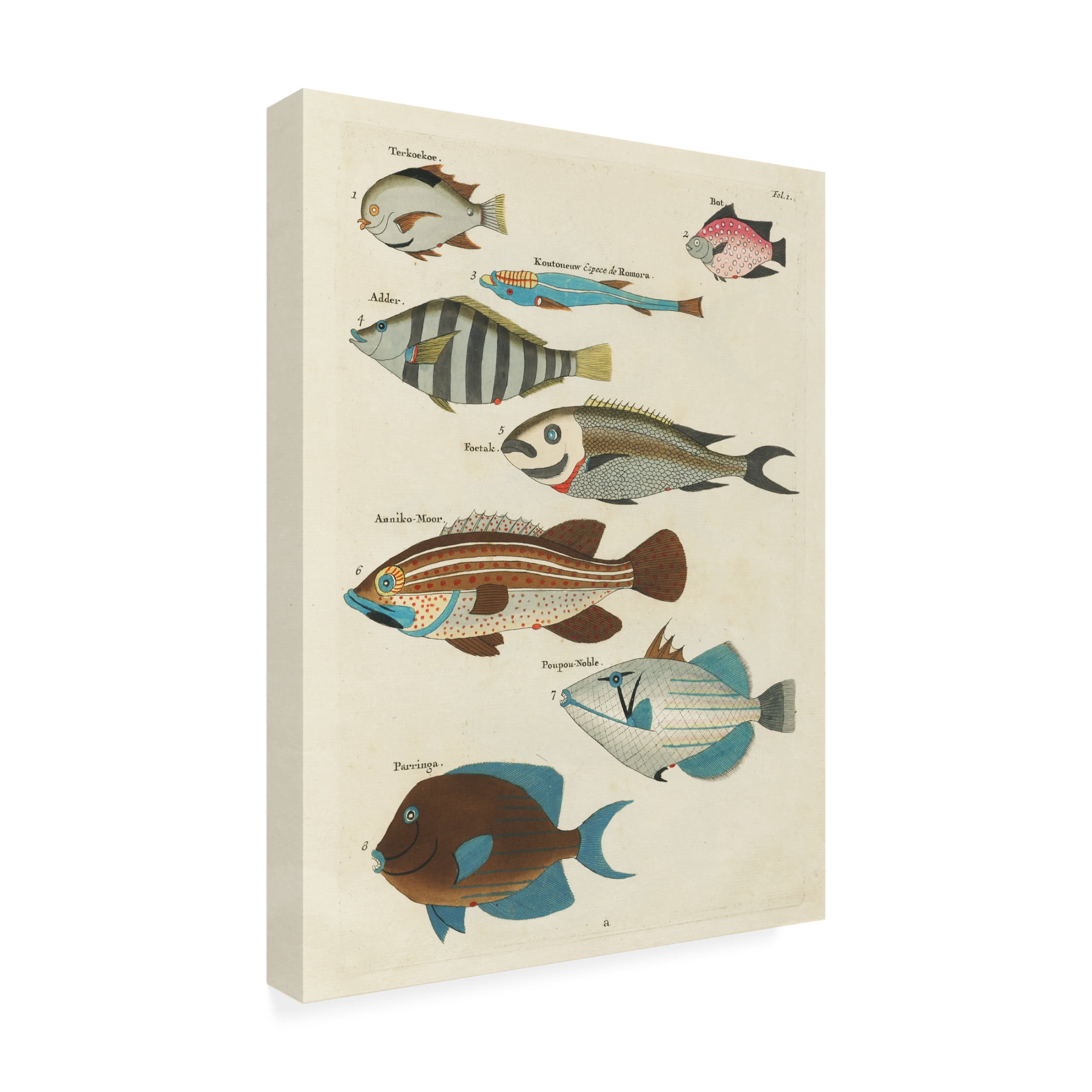 Trademark Fine Art Louis Renard  Renard Tropical Fish V Canvas Wall Art