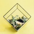 thumbnail image 4 of 50PCS Mini Jungle Animals Figurines Resin Tiny Animal Miniatures, D, 4 of 4