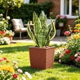 thumbnail image 5 of Medium Square Plastic Planter with Faux Rattan Self Watering for Green Plants, 5 of 6