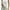 White, variant on Casual Solid Scoop Neck Tank Top White Women Tank Top Tops & Camis (Women's)