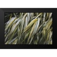 thumbnail image 2 of Urquhart, Elizabeth 24x17 Black Modern Framed Museum Art Print Titled - Leafy III, 2 of 5