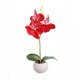 thumbnail image 1 of PYPESEEWY Flores económicas para mesa de patio Planta simulada Bonsái Plantas de bonsái de orquídea mariposa de interior Elegancia Tranquilidad, 1 of 2
