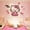 B-Pink, variant on DIY Assemble Cartoon Hello Kitty Wall Sticker Bedroom Home Decor