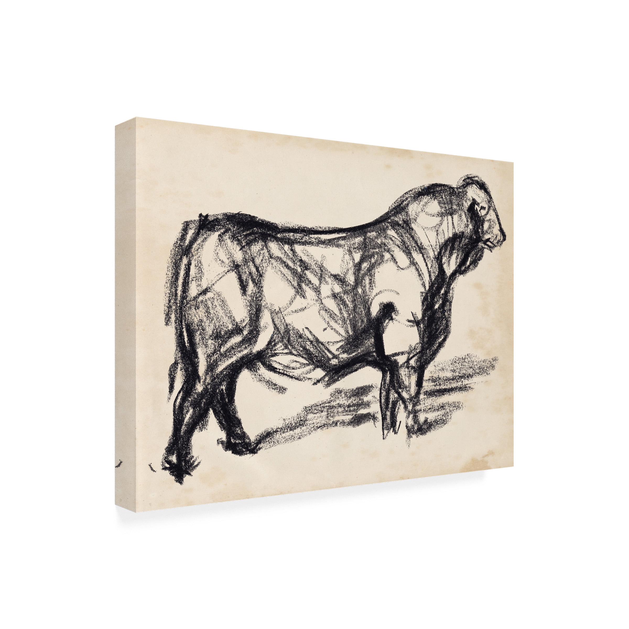 Jennifer Paxton Parker 'Black Angus I' Canvas Art