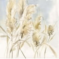 thumbnail image 2 of Pete, Katrina 12x12 Gold Ornate Wood Framed with Double Matting Museum Art Print Titled - Pampas Grasses, 2 of 4