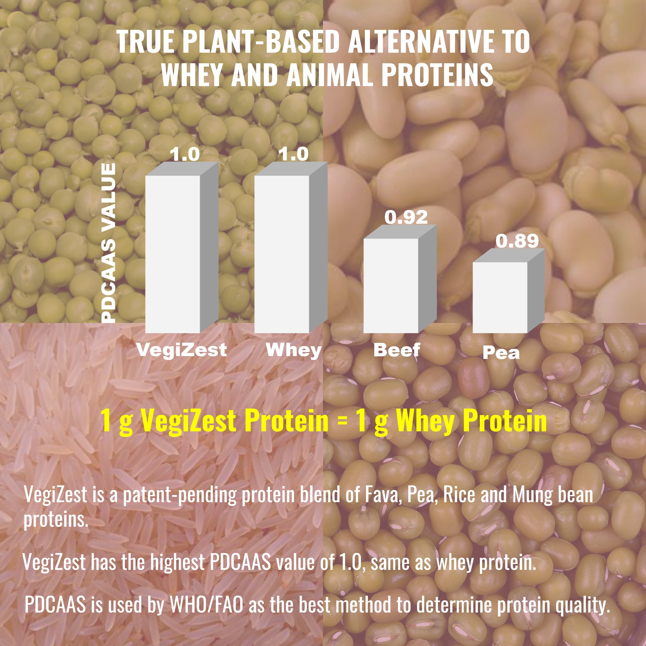 Buy Plant Based Protein Shake Strawberry Banana Lactose & Dairy Free Protein Powder, Vegan