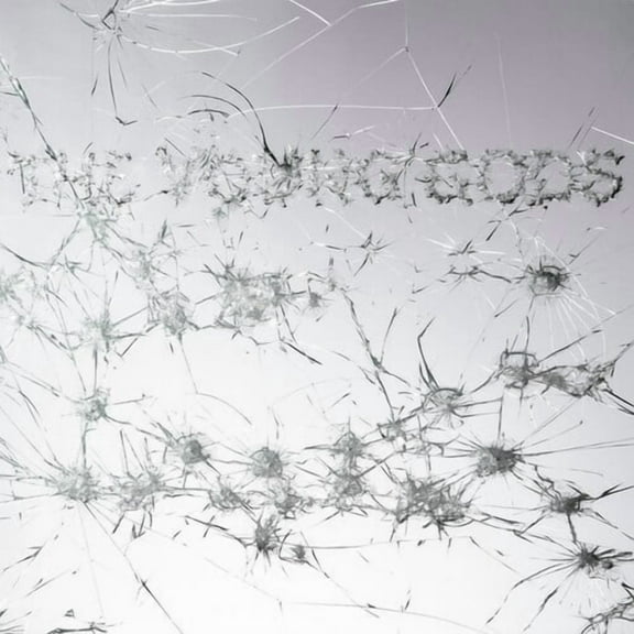 Young Gods - Appear Disappear - Music & Performance - Vinyl