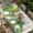 Beige Green, variant on St. Patrick's Table Cloths for 4 Foot Rectangle Tables, Luck Shamrock Eucalyptus Leaves Flowers Beige Patio Waterproof Elastic Fitted Tablecloths, Washable Rectangular Table Cover for Camping