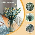 thumbnail image 4 of 12 Pcs Dried Eucalyptus Bundle - 100% Real Natural Eucalyptus Leaves, 17'' Fresh Eucalyptus Stems for Shower, Aromatherapy, Flower Vase Arrangements, Wedding Home Greenery Decor (Green), 4 of 7