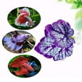 thumbnail image 5 of ShengShi 1Pcs Simulation Ornamental Leaf Betta Fish Rest Spawning Leaf Betta Fish Bed Hammock for Fish Tank Aquarium Decorations, 5 of 6