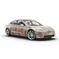 thumbnail image 6 of Rwraps Green Art Deco Watermelon Suggestion Matte Vinyl Film Wrap 59in x 10ft Vinyl Vehicle Car Film, 6 of 9
