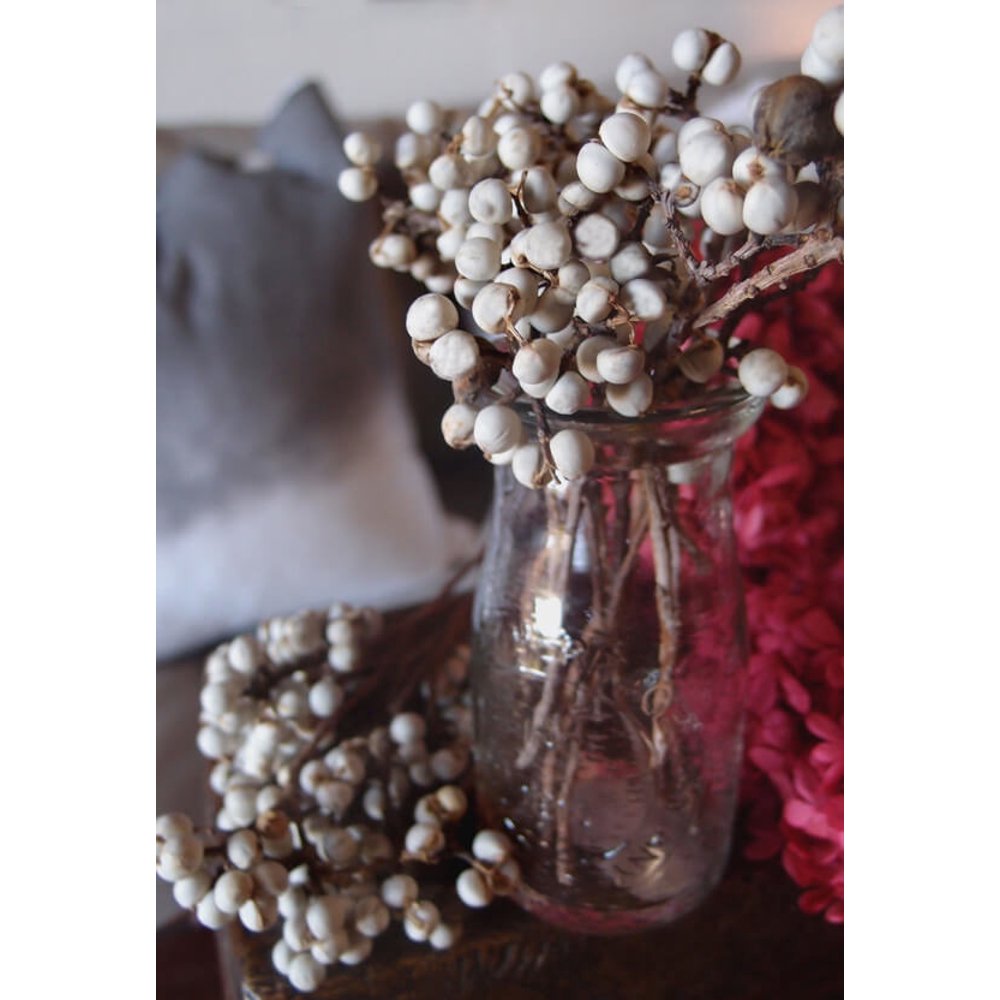 Preserved Texas Tallow Berries (20 Stems) 3in. 3.5in. in Diameter