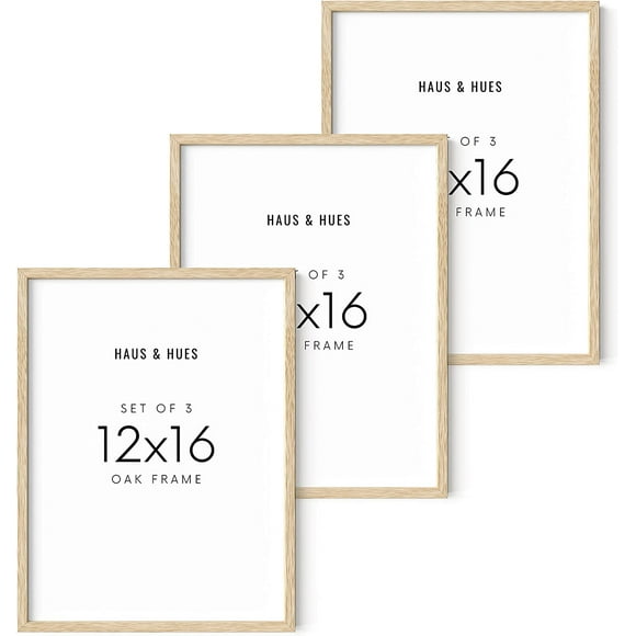 Picture Frames 12 X 16