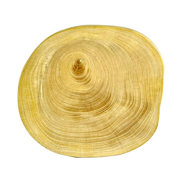 Almohadilla de reparación de movimiento, protector de reloj, portátil, antideslizante, profesional 86.6 mm