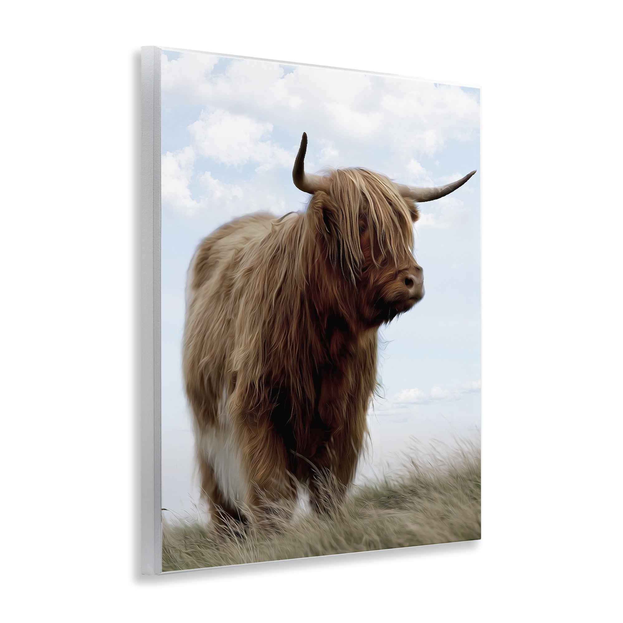 Stupell Industries Restful Look Highland Cattle Wall Plaque Art, design by Marcus Prime