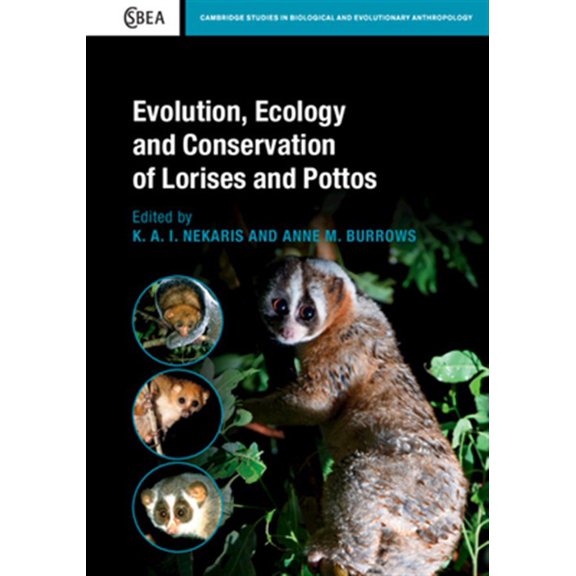Pre-Owned Cambridge Studies in Biological and Evol Evolution, Ecology and Conservation of Lorises and Pottos, (Hardcover)