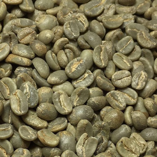 Fresh Roasted Coffee, Organic Green Peruvian Coffee Beans, 25 lb Bag