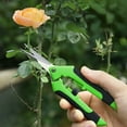 thumbnail image 4 of Stainless Steel Gardening Scissors, Pruning Shears with Safety Lock & Spring Action - Fruit Tree, Vegetable, Grape Harvesting Tool, 6.57" Length, 4 of 6