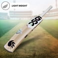 thumbnail image 5 of DSC Condor Aviator Kashmir Willow Cricket Bat For Leather Ball , Light Weight | Ready To Play , Free Cover | Multicolor (Harrow), 5 of 5