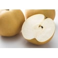 thumbnail image 6 of Asian Pear Tree | Premium Seeds | Pyrus pyrifolia 'Fruit' | Plants'® (Premium Seeds, 100), 6 of 9