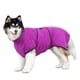 thumbnail image 1 of onlyliua Albornoz para Mascotas de Fibra Superfina 365 Gramos Absorbente Morado, 1 of 4